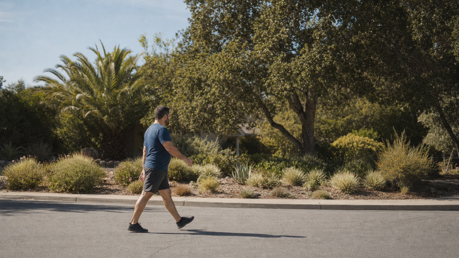 Good walk preview