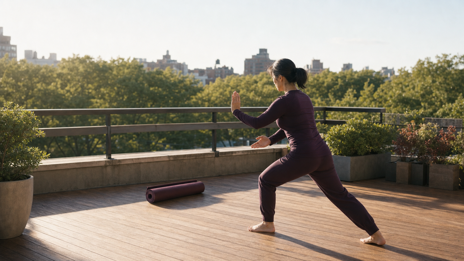 Slow tai chi form preview