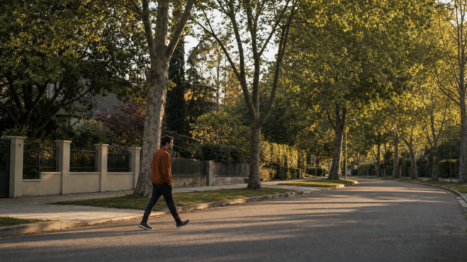 Walk in the early light preview
